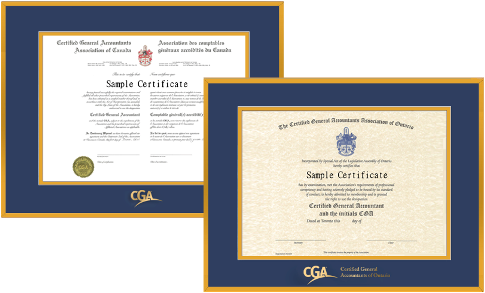 2X CGA ONTARIO FRAMES: Satin gold metal with Newport blue over gold double mat boards